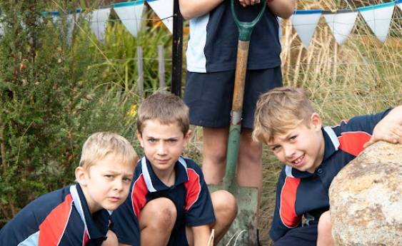Building sustainable local school garden
